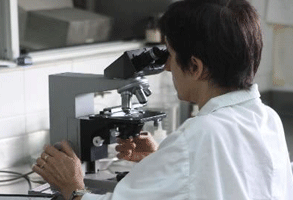 El CONICET tendrá un nuevo polo científico en Bariloche