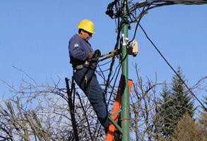 Se aprobó la ley para la promoción del tendido de fibra óptica