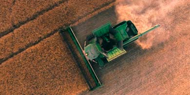 Agrotecnologa: rendimiento, eficiencia y calidad para los cultivos