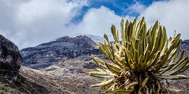 Las maravillas naturales de Mxico llegan a Street View