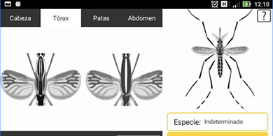 Cmo es la app argentina para 